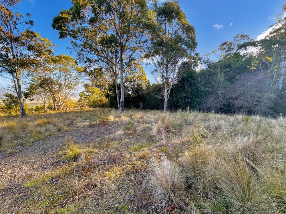 14 Crosby Street, CORNWALL, TAS 7215, Cornwall - Thumbnail 6