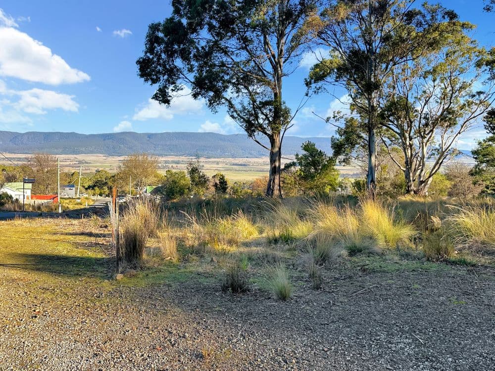 14 Crosby Street, CORNWALL, TAS 7215, Cornwall - Thumbnail 7