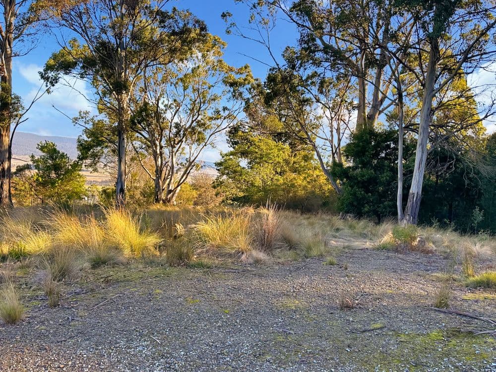 14 Crosby Street, CORNWALL, TAS 7215, Cornwall - Thumbnail 8