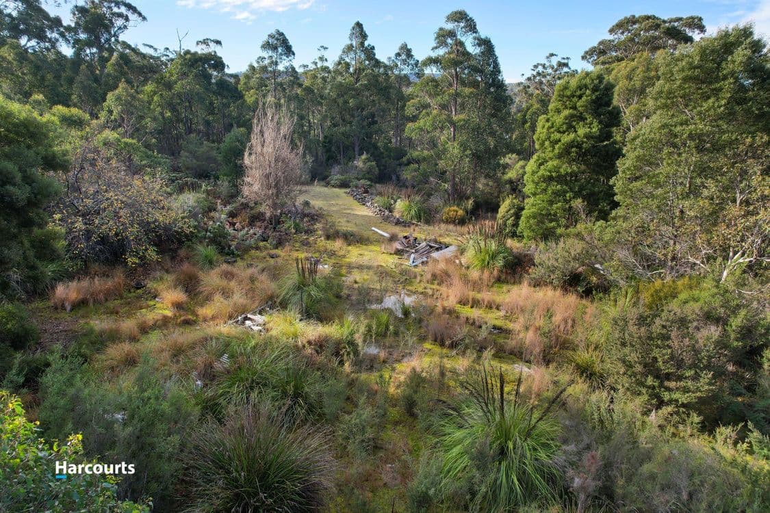 110 Tongue Road, HASTINGS, TAS 7109, Hastings - Thumbnail 5