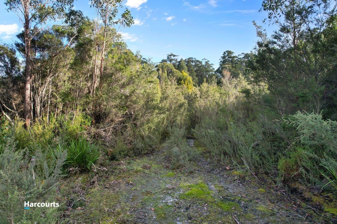 110 Tongue Road, HASTINGS, TAS 7109, Hastings - Thumbnail 6