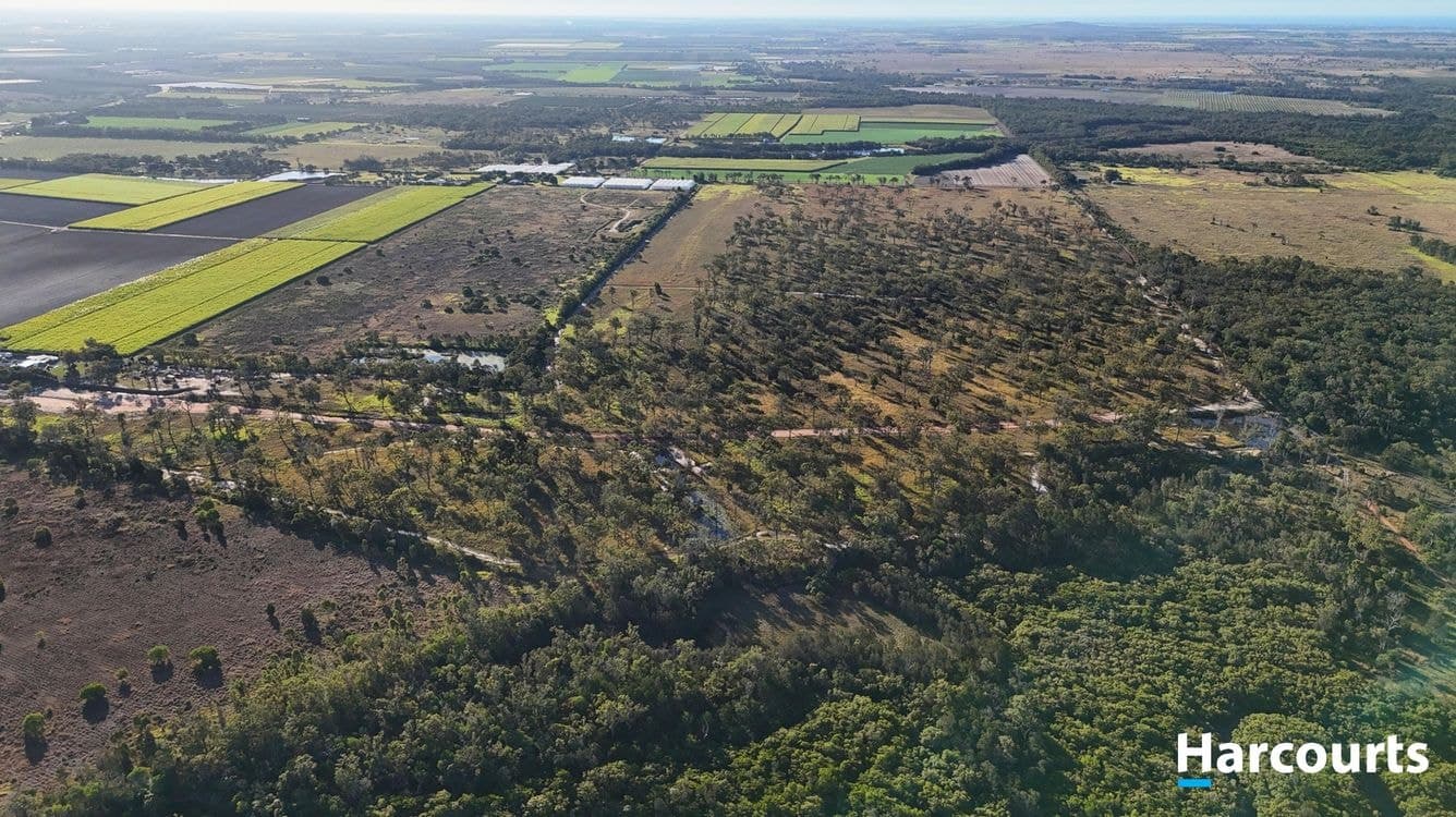 Palm Springs Drive, CALAVOS, QLD 4670, Calavos - Thumbnail 3