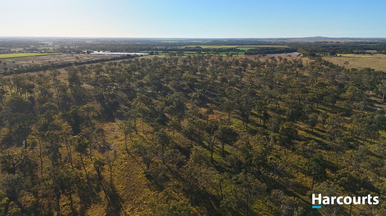 Palm Springs Drive, CALAVOS, QLD 4670, Calavos - Thumbnail 7