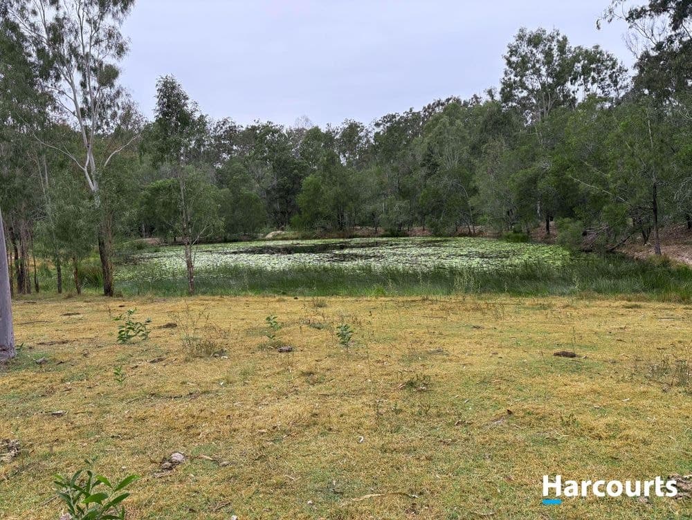 Lot 38 TENNINGERING ROAD, GOOD NIGHT, QLD 4671, Good Night - Thumbnail 7