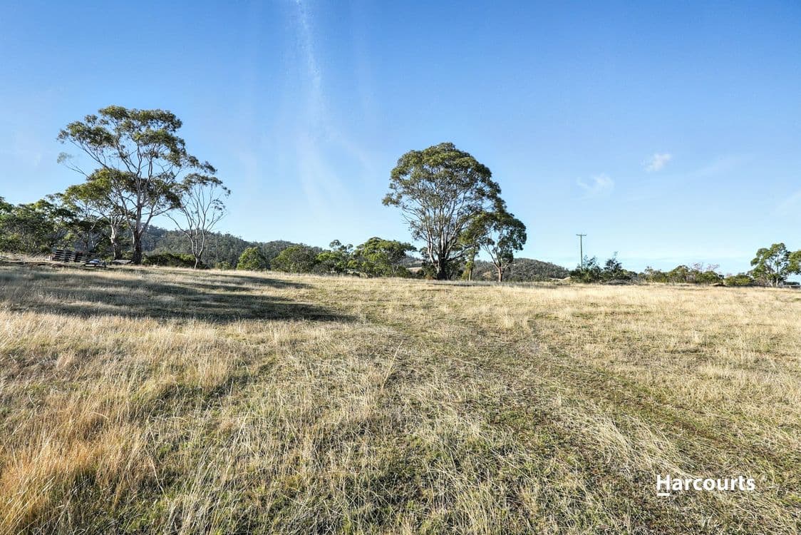 72 Houston Drive, CAMBRIDGE, TAS 7170, Cambridge - Thumbnail 4