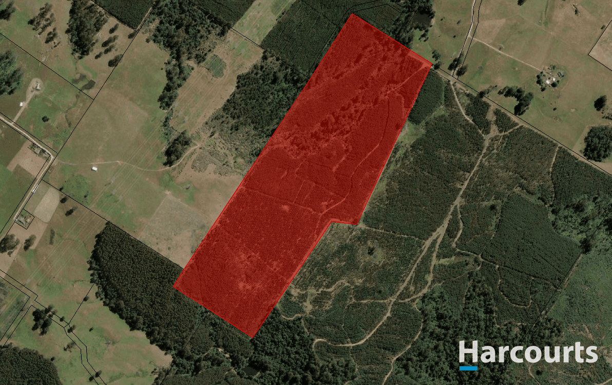 220 Holmes Road, ROLAND, TAS 7306, Roland - Thumbnail 2