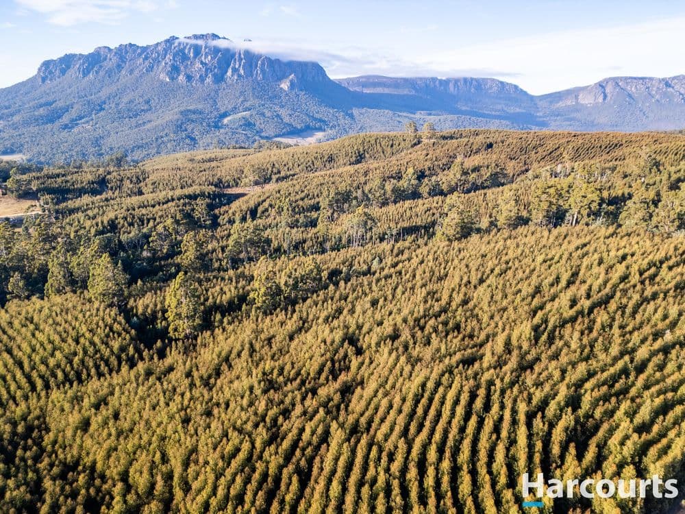 220 Holmes Road, ROLAND, TAS 7306, Roland - Thumbnail 4