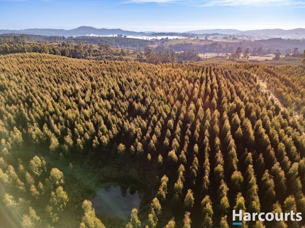 220 Holmes Road, ROLAND, TAS 7306, Roland - Thumbnail 5