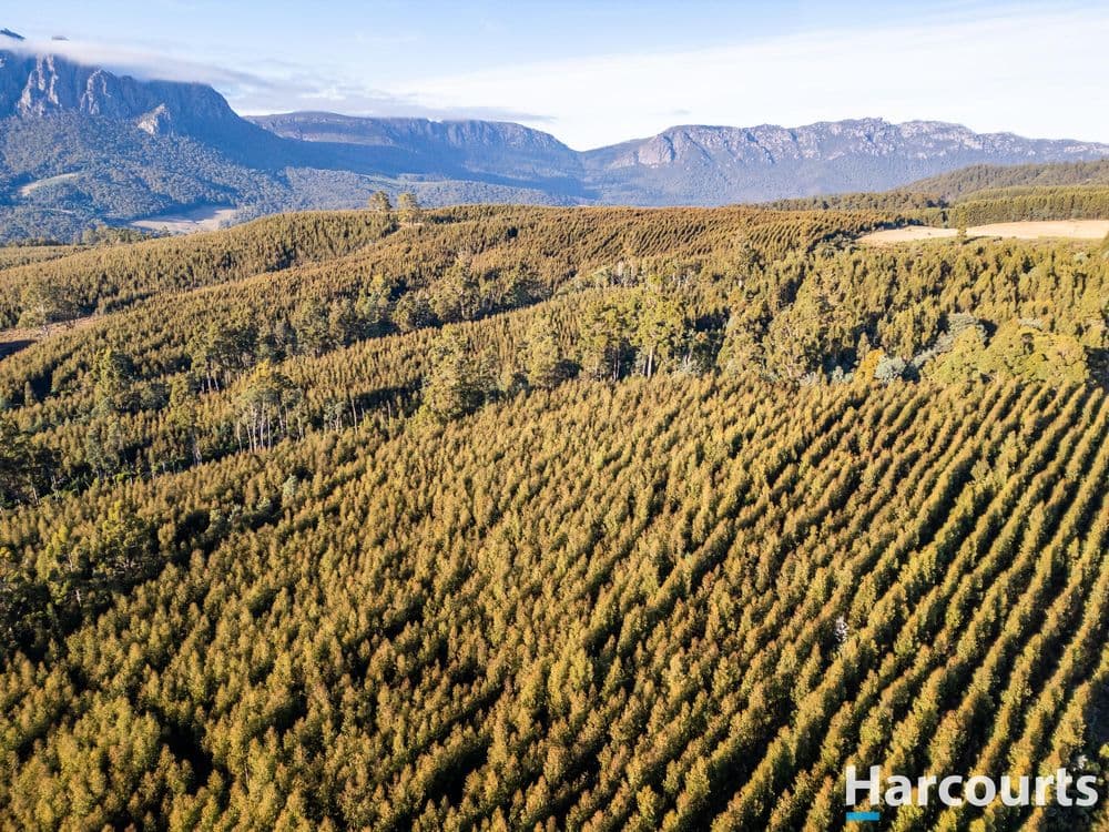 220 Holmes Road, ROLAND, TAS 7306, Roland - Thumbnail 6