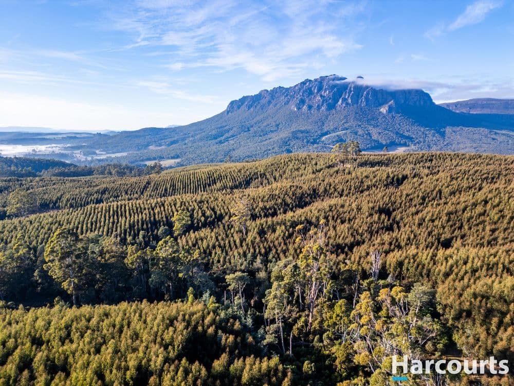 220 Holmes Road, ROLAND, TAS 7306, Roland - Thumbnail 7