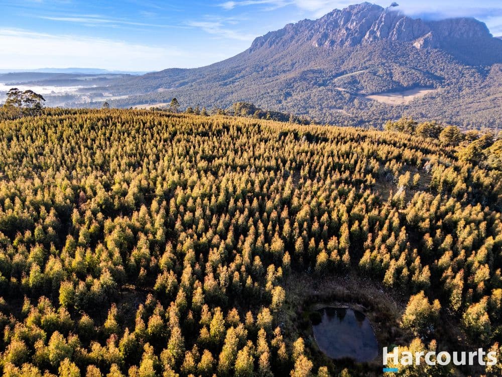 220 Holmes Road, ROLAND, TAS 7306, Roland - Thumbnail 8