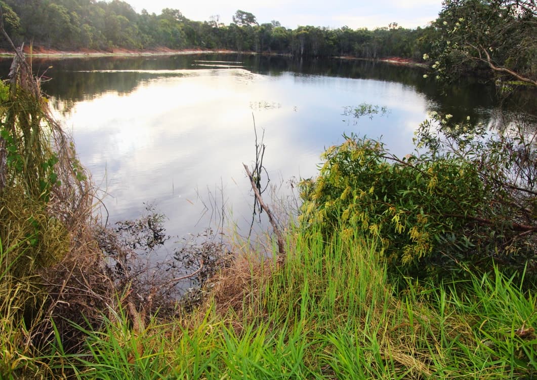 4174 Goodwood Road, ALLOWAY, QLD 4670, Alloway - Thumbnail 6
