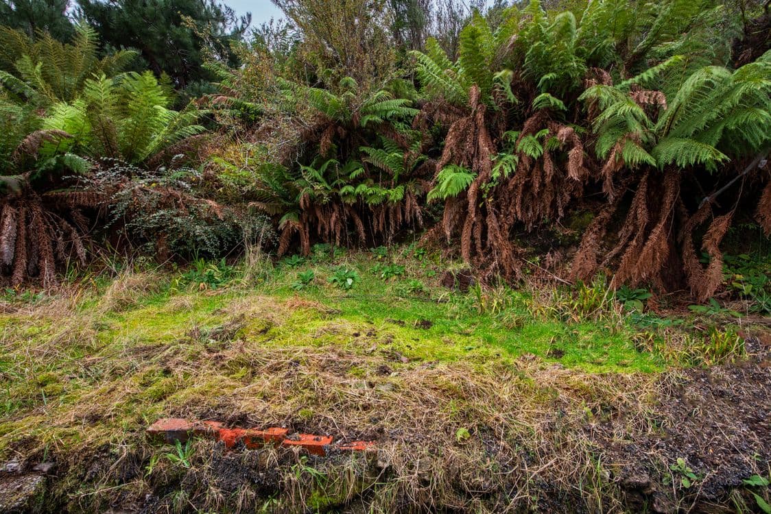 14 Bowes Street, QUEENSTOWN, TAS 7467, Queenstown - Thumbnail 8