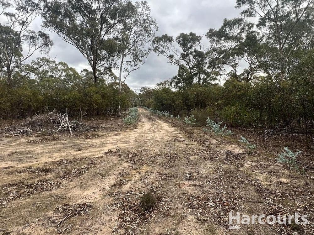 2287 Roses Gap Road, WARTOOK, VIC 3401, Wartook - Thumbnail 3