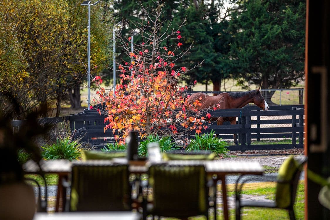 615 Baxter-Tooradin Road, PEARCEDALE, VIC 3912, Pearcedale - Thumbnail 2