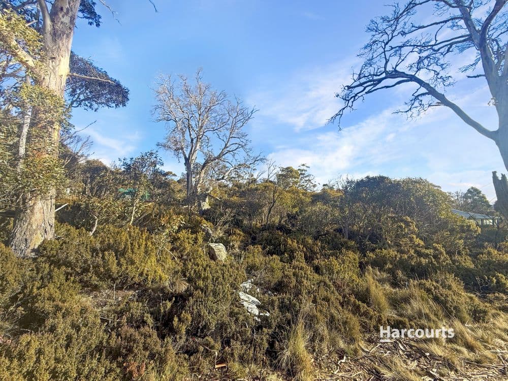 20 Lochiel Drive, MIENA, TAS 7030, Miena - Thumbnail 5