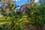 41 Trimaran Street, RUSSELL ISLAND, QLD 4184, Russell Island - Image 1