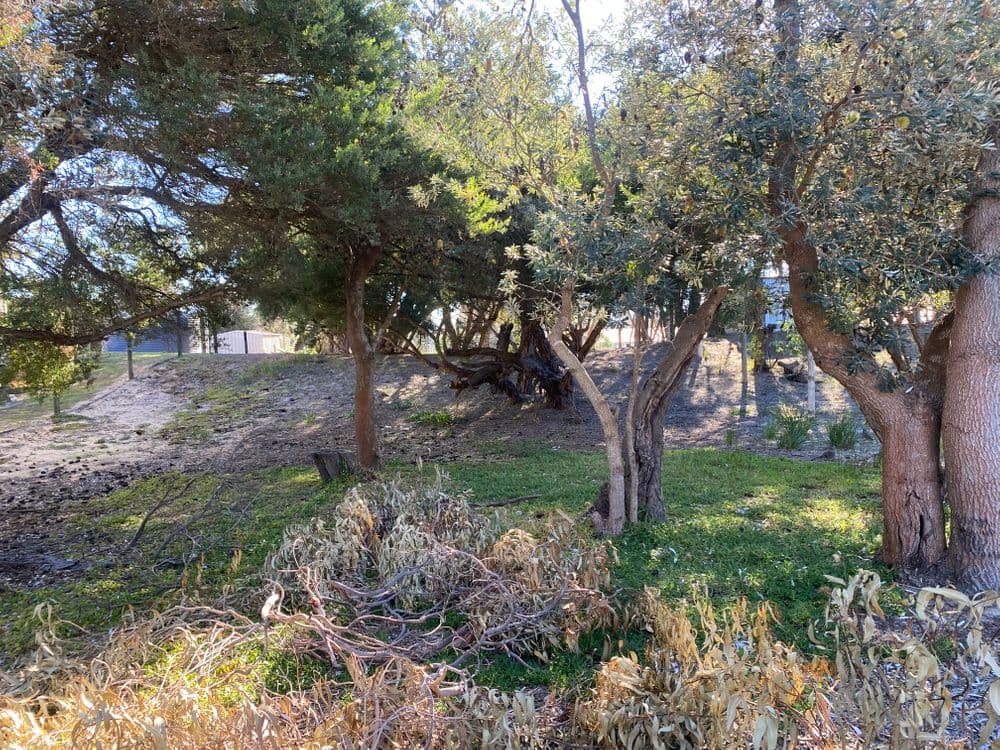 39 Sunglow Crescent, GOLDEN BEACH, VIC 3851, Golden Beach - Thumbnail 2
