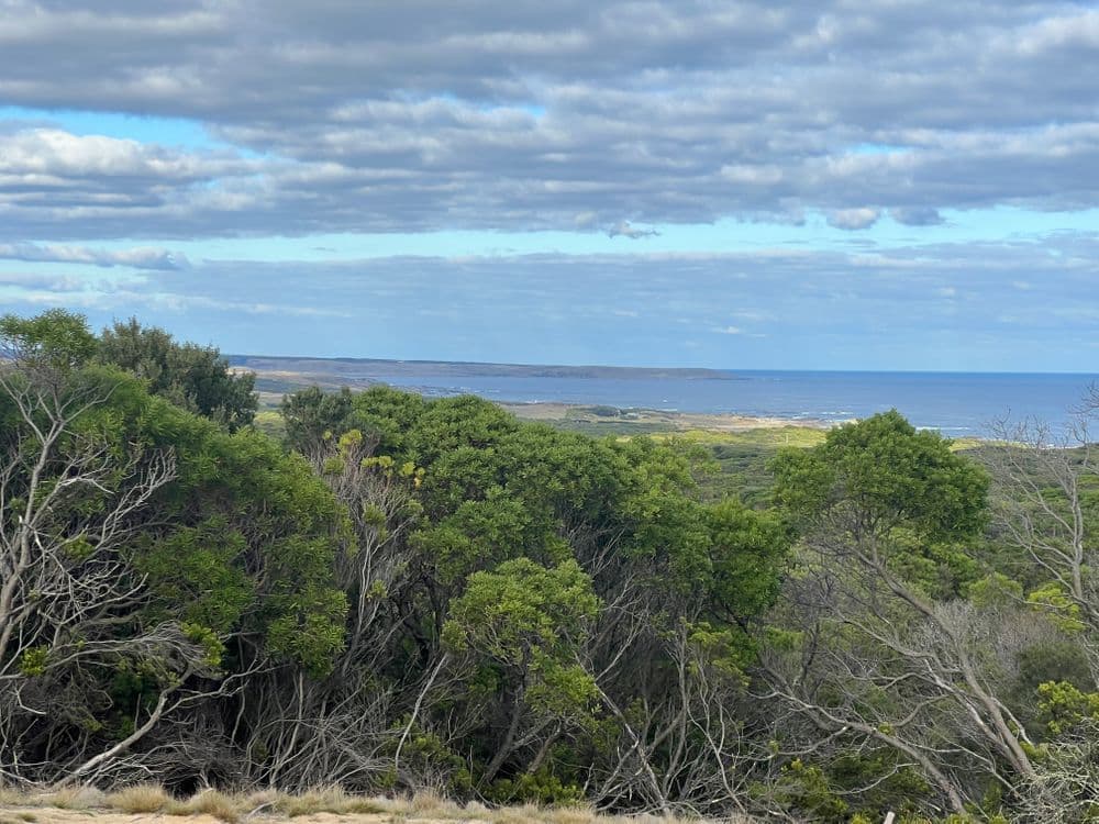 274 South Road, NUGARA, TAS 7256, Nugara - Thumbnail 3