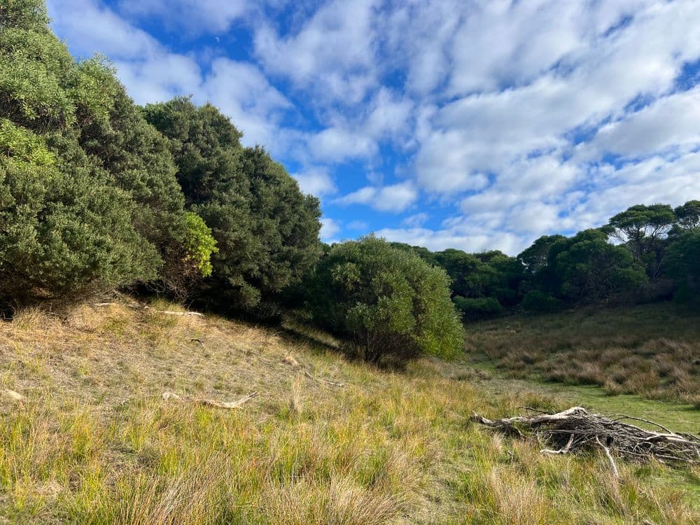 274 South Road, NUGARA, TAS 7256, Nugara - Thumbnail 5