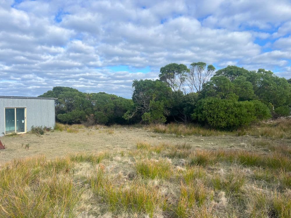 274 South Road, NUGARA, TAS 7256, Nugara - Thumbnail 6