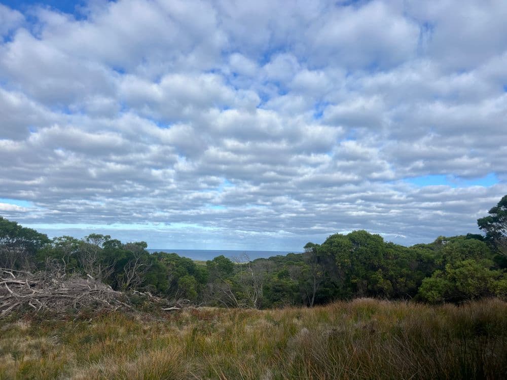 274 South Road, NUGARA, TAS 7256, Nugara - Thumbnail 7