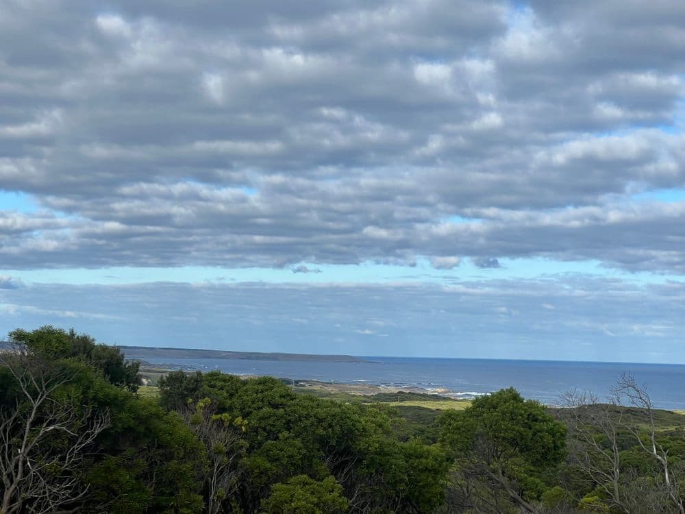 274 South Road, NUGARA, TAS 7256, Nugara - Thumbnail 8
