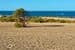 23 Oystercatcher Circuit, POINT BOSTON, SA 5607, Point Boston - Thumbnail 4