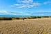 23 Oystercatcher Circuit, POINT BOSTON, SA 5607, Point Boston - Thumbnail 5