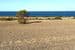23 Oystercatcher Circuit, POINT BOSTON, SA 5607, Point Boston - Thumbnail 7