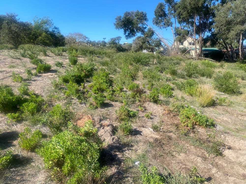 47 Sea Breeze Avenue, GOLDEN BEACH, VIC 3851, Golden Beach - Thumbnail 5