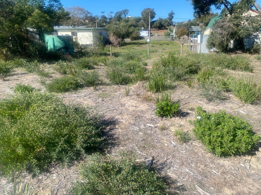 47 Sea Breeze Avenue, GOLDEN BEACH, VIC 3851, Golden Beach - Thumbnail 6
