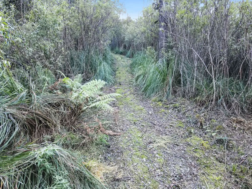 PID 7682518 Mount Elephant Road, GRAY, TAS 7215, Gray - Thumbnail 5
