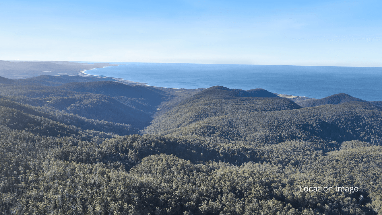 PID 7682518 Mount Elephant Road, GRAY, TAS 7215, Gray - Thumbnail 8
