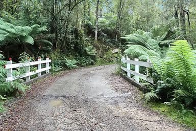 Part of PID 7682518 Mount Elephant Road, GRAY, TAS 7215, Gray - Image 1