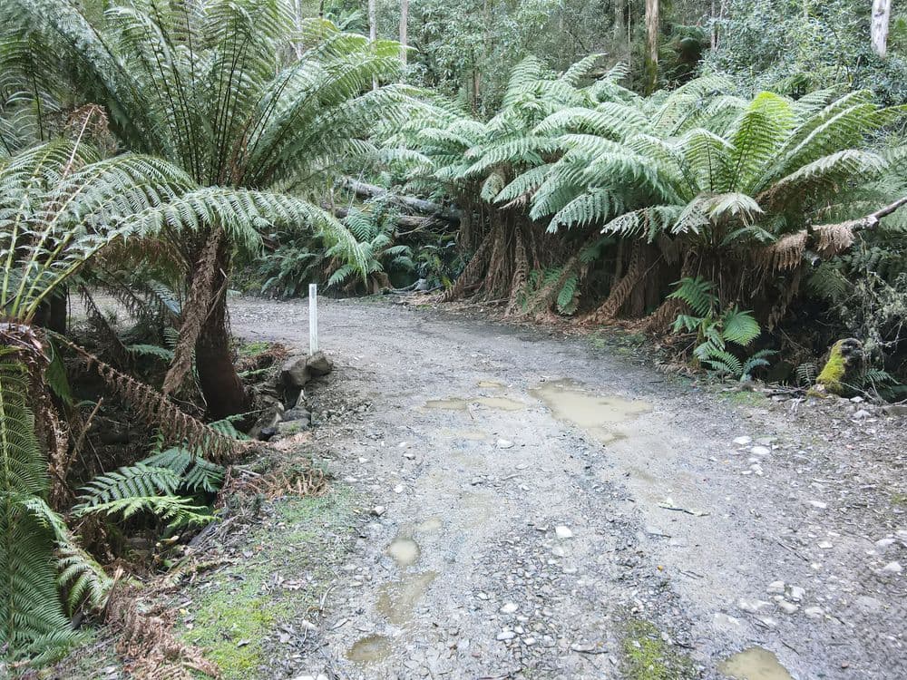 Part of PID 7682518 Mount Elephant Road, GRAY, TAS 7215, Gray - Thumbnail 2