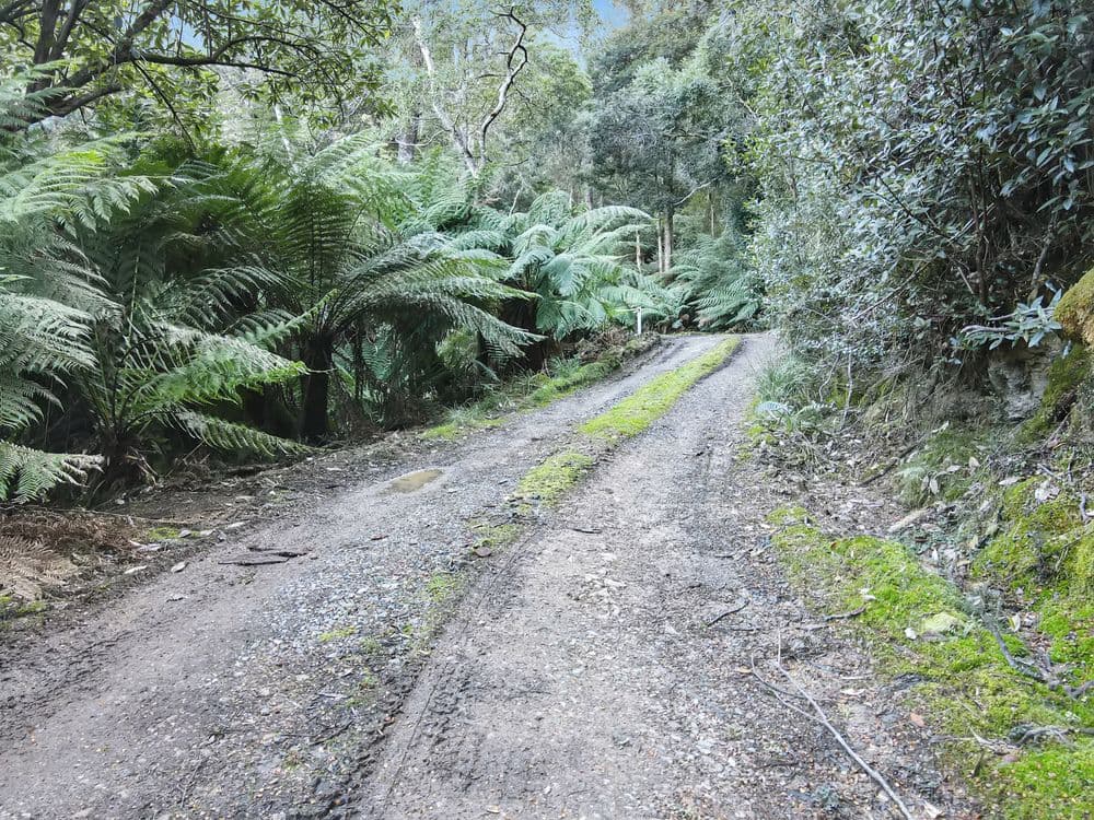 Part of PID 7682518 Mount Elephant Road, GRAY, TAS 7215, Gray - Thumbnail 3