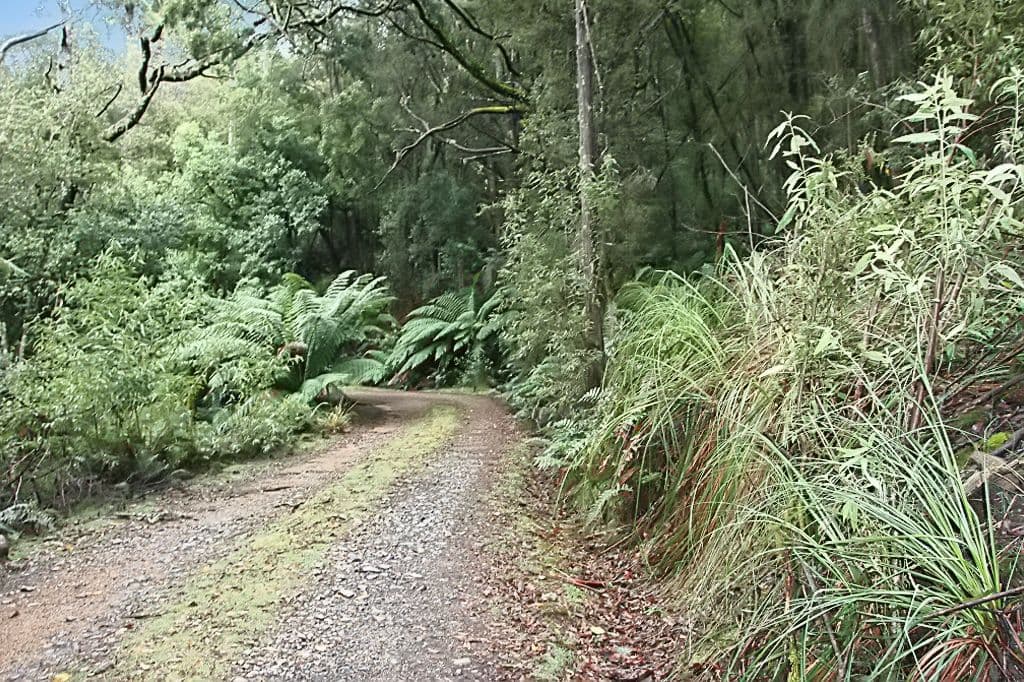 Part of PID 7682518 Mount Elephant Road, GRAY, TAS 7215, Gray - Thumbnail 5