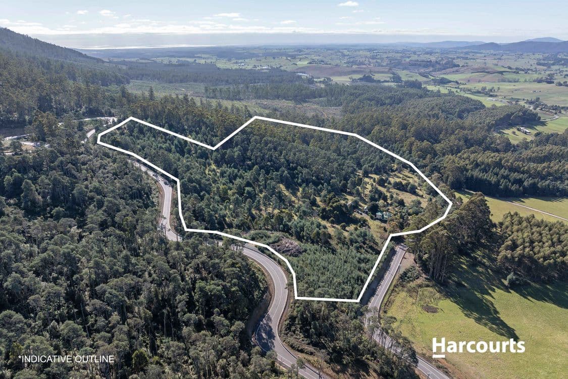 36514 Tasman Highway, SPRINGFIELD, TAS 7260, Springfield - Thumbnail 3