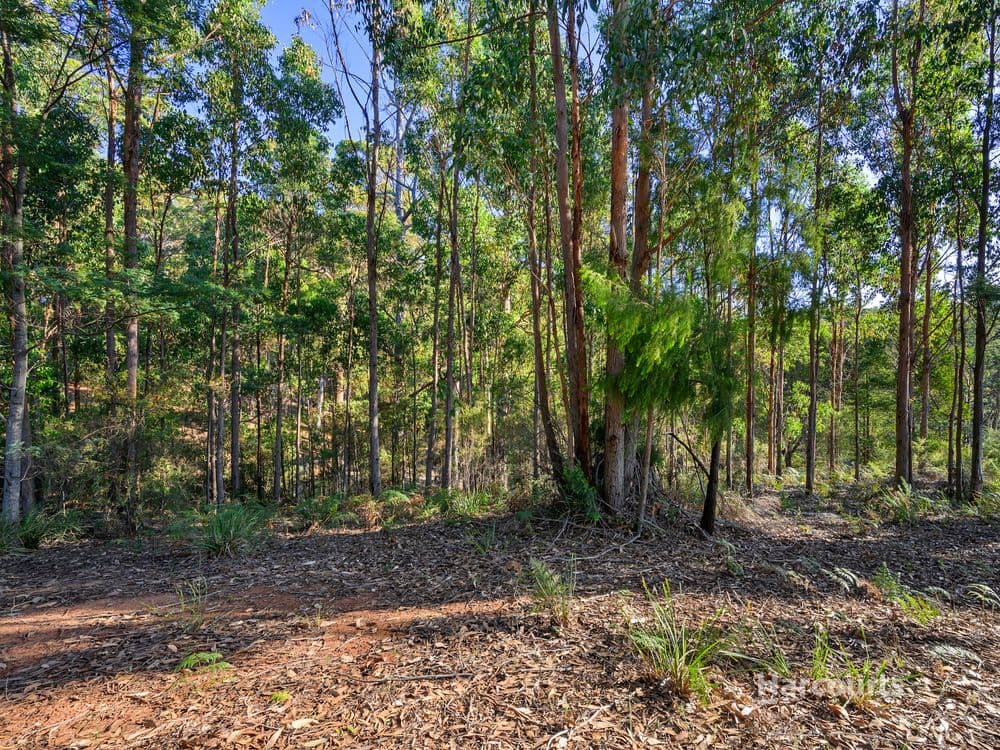 Lot 1 Leatherwood Drive, PENGUIN, TAS 7316, Penguin - Thumbnail 5
