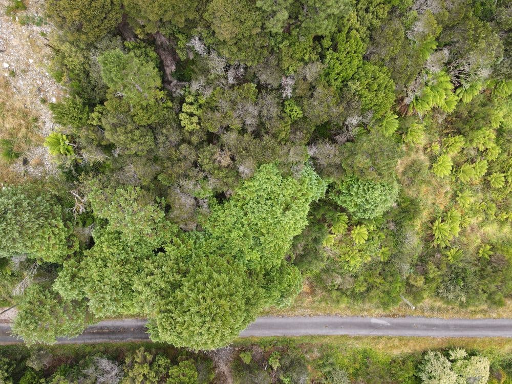 24 Crotty Street, QUEENSTOWN, TAS 7467, Queenstown - Thumbnail 3