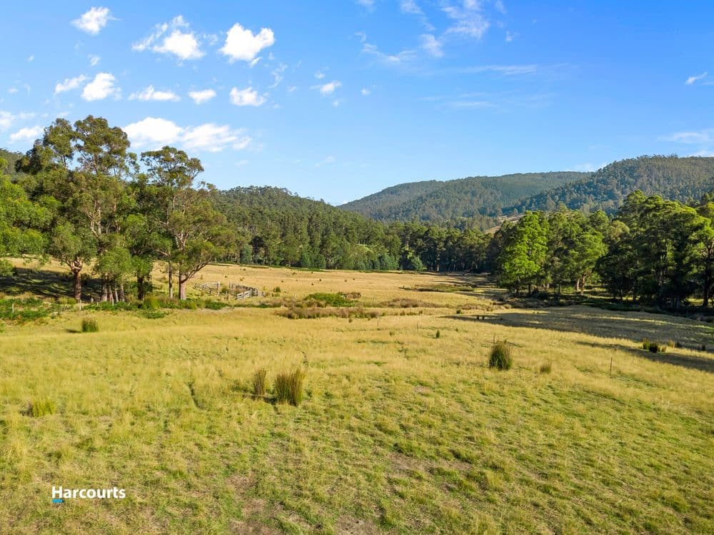 90 Caseys Road, NICHOLLS RIVULET, TAS 7112, Nicholls Rivulet - Thumbnail 2