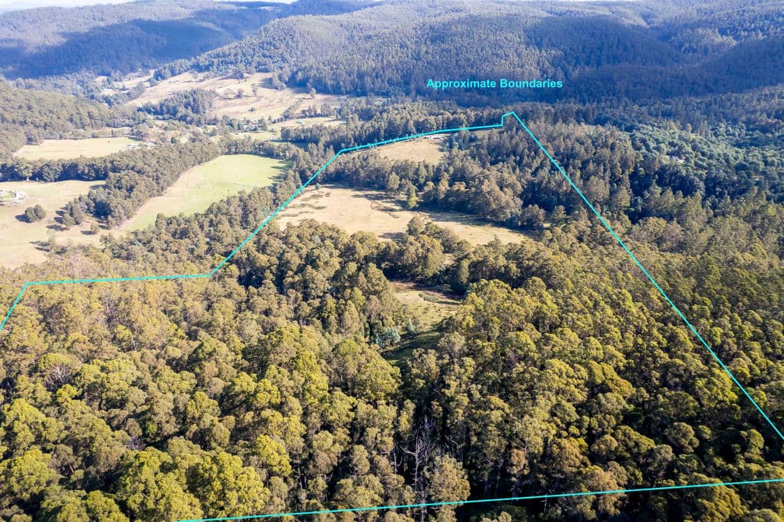 90 Caseys Road, NICHOLLS RIVULET, TAS 7112, Nicholls Rivulet - Thumbnail 6