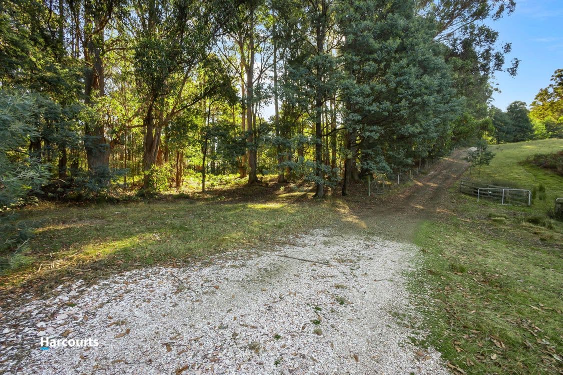 90 Caseys Road, NICHOLLS RIVULET, TAS 7112, Nicholls Rivulet - Thumbnail 7