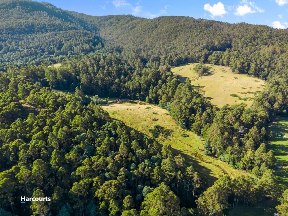 90 Caseys Road, NICHOLLS RIVULET, TAS 7112, Nicholls Rivulet - Thumbnail 8