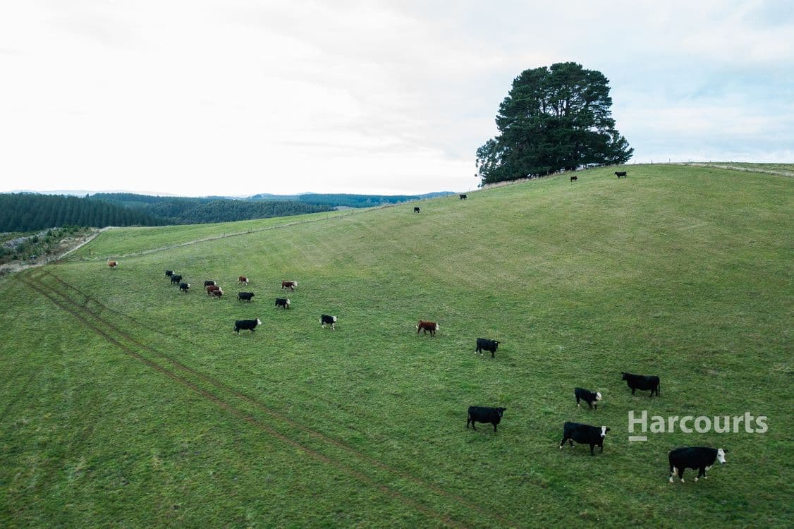 1477 Preston Road, PRESTON, TAS 7315, Preston - Thumbnail 2