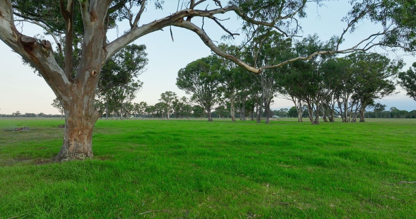 880 Fernbank-Lindenow South Road, FERNBANK, VIC 3864, Fernbank - Thumbnail 7