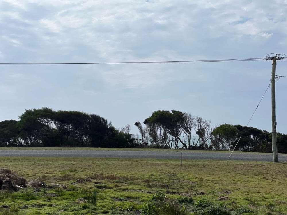 171 Naracoopa Esplanade, NARACOOPA, TAS 7256, Naracoopa - Thumbnail 6