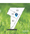 16 Taylor Avenue, Salisbury Heights - Thumbnail 6