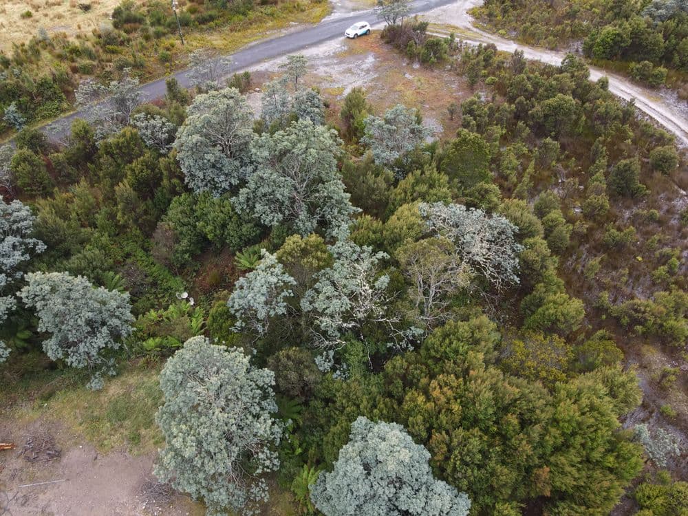 26 Tyndall Street, GORMANSTON, TAS 7466, Gormanston - Thumbnail 6